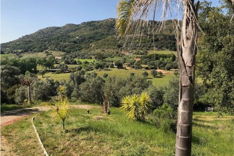 Farm i Setubal, Setubal, Setubal - € 399.000 | Ref: MAS_182 - foto 13