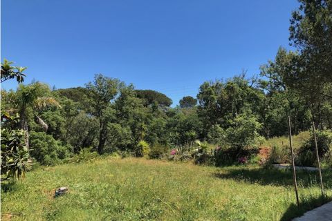 Farm i Setubal, Setubal, Setubal - € 399.000 | Ref: MAS_182 - foto 17