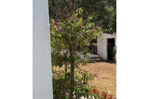 Farm i Setubal, Setubal, Setubal - € 399.000 | Ref: MAS_182 - foto 27