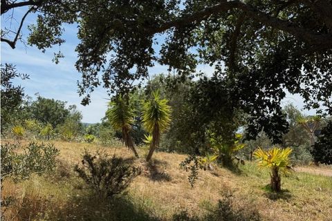 Farm i Setubal, Setubal, Setubal - € 399.000 | Ref: MAS_182 - foto 30