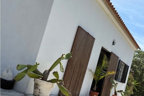 Farm i Setubal, Setubal, Setubal - € 399.000 | Ref: MAS_182 - foto 31