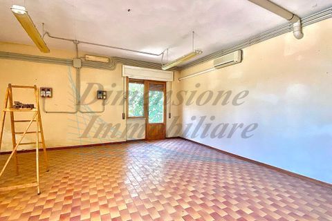 Byhus i Montescudaio, Pisa, Montescudaio - € 115.000 | Ref: C1017 - foto 6