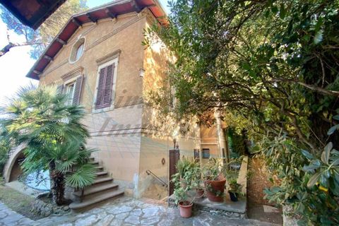 Villa a Rosignano Marittimo, Livorno, Rosignano Marittimo - € 1.950.000 | Ref: 1769 - foto 5