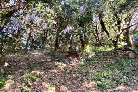 Villa a Rosignano Marittimo, Livorno, Rosignano Marittimo - € 1.950.000 | Ref: 1769 - foto 29