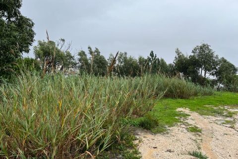 Helårsgrund i Buarcos, Coimbra, Buarcos - € 118.000 | Ref: C0396-00505 - foto 3