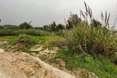 Helårsgrund i Buarcos, Coimbra, Buarcos - € 118.000 | Ref: C0396-00505 - foto 4
