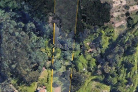 Helårsgrund i Coimbra, Coimbra, Coimbra - € 35.000 | Ref: C0396-00555 - foto 4