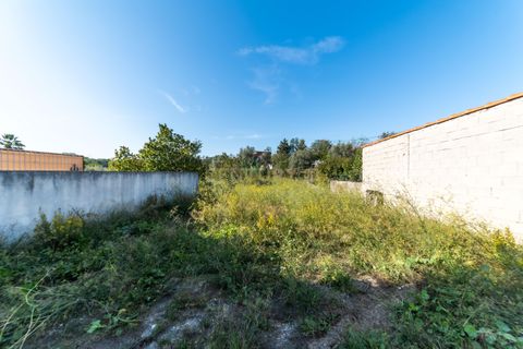 Helårsgrund i Assafarge e Antanhol, Coimbra, Assafarge e Antanhol - € 59.000 | Ref: C0396-00637 - foto 5