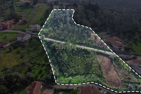 Helårsgrund i Coimbra, Coimbra, Coimbra - € 300.000 | Ref: C0396-00675 - foto 1