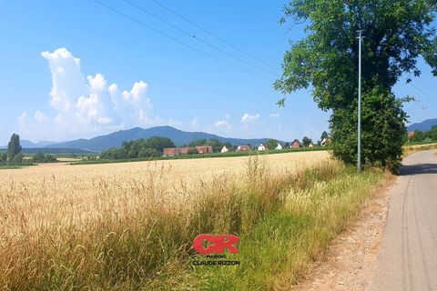 Villa i Epfig, Bas-Rhin, Epfig - € 310.000 | Ref: HK-EPFIG020725 - foto 3