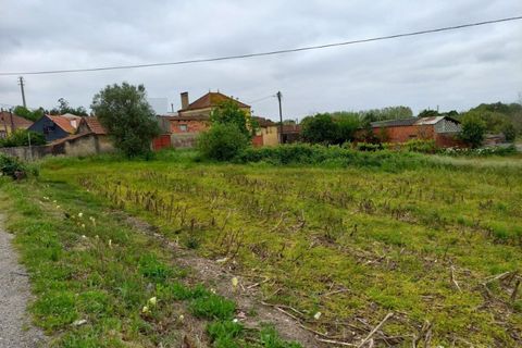 Helårsgrund i Eixo e Eirol, Aveiro, Eixo e Eirol - € 40.000 | Ref: KWPT-014837 - foto 10