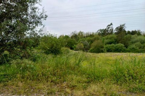 Helårsgrund i Eixo e Eirol, Aveiro, Eixo e Eirol - € 40.000 | Ref: KWPT-014837 - foto 12