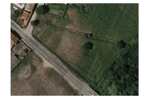 Helårsgrund i Eixo e Eirol, Aveiro, Eixo e Eirol - € 40.000 | Ref: KWPT-014837 - foto 15