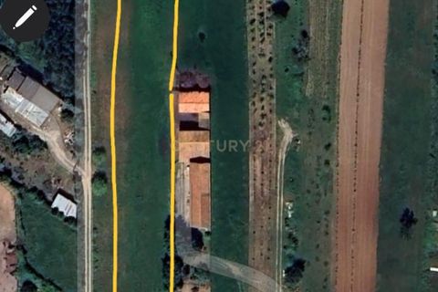 Helårsgrund i Nazare, Leiria, Nazare - € 37.500 | Ref: 1739-02084 - foto 2