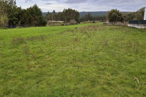 Helårsgrund i Nazare, Leiria, Nazare - € 37.500 | Ref: 1739-02084 - foto 5