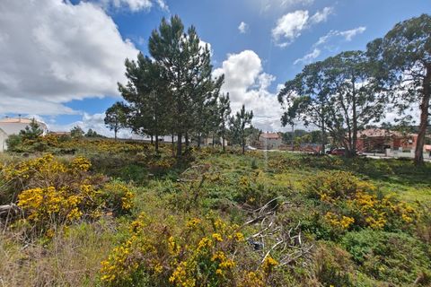 Helårsgrund i Foz do Arelho, Leiria, Foz do Arelho - € 125.000 | Ref: BL1264 - foto 2