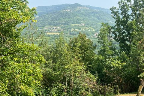 Villa a Torre Bormida, Cuneo, Torre Bormida - € 78.000 | Ref: 14811 - foto 22