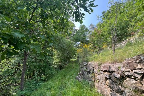 Villa a Torre Bormida, Cuneo, Torre Bormida - € 78.000 | Ref: 14811 - foto 35