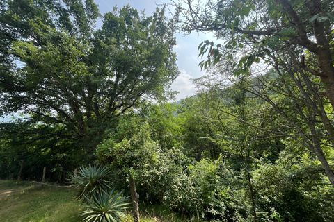 Villa a Torre Bormida, Cuneo, Torre Bormida - € 78.000 | Ref: 14811 - foto 37