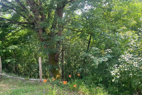 Villa a Torre Bormida, Cuneo, Torre Bormida - € 78.000 | Ref: 14811 - foto 39
