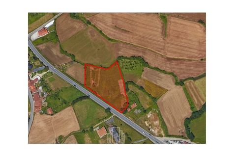 Helårsgrund i Ovar, Aveiro, Ovar - € 90.000 | Ref: 300-OVR - foto 1