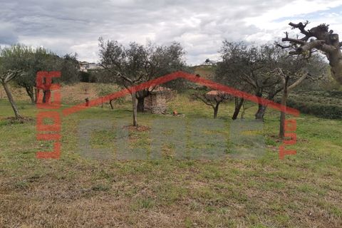 Villa i Vimioso, Braganca, Vimioso - € 498.000 | Ref: 0930 - foto 26