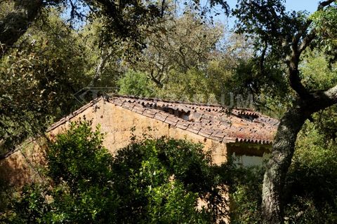 Farm hus i Odemira, Beja, Odemira - € 115.000 | Ref: K-312 - foto 1