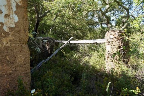 Farm hus i Odemira, Beja, Odemira - € 115.000 | Ref: K-312 - foto 3