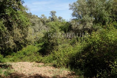 Farm hus i Odemira, Beja, Odemira - € 115.000 | Ref: K-312 - foto 4