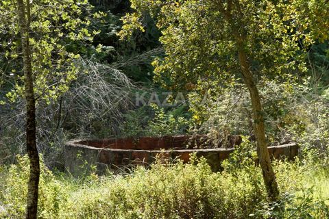 Farm hus i Odemira, Beja, Odemira - € 115.000 | Ref: K-312 - foto 5