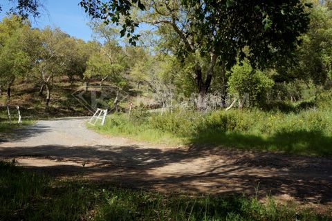 Farm hus i Odemira, Beja, Odemira - € 115.000 | Ref: K-312 - foto 6