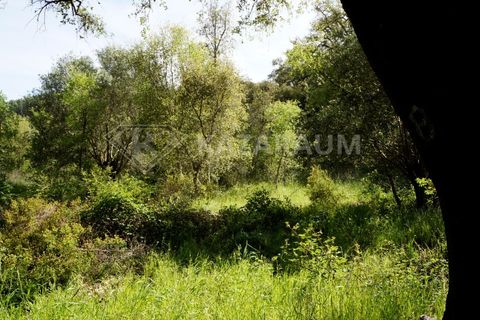 Farm hus i Odemira, Beja, Odemira - € 115.000 | Ref: K-312 - foto 7