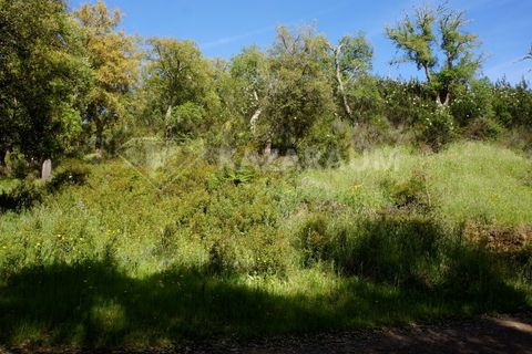 Farm hus i Odemira, Beja, Odemira - € 115.000 | Ref: K-312 - foto 8