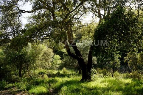 Farm hus i Odemira, Beja, Odemira - € 115.000 | Ref: K-312 - foto 9