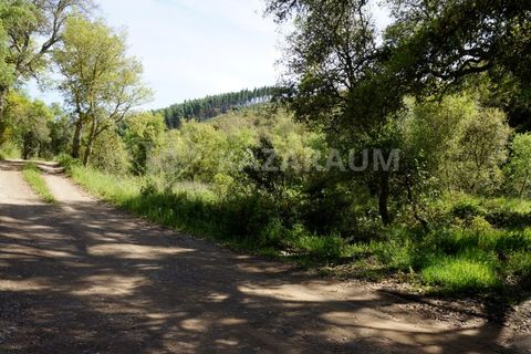 Farm hus i Odemira, Beja, Odemira - € 115.000 | Ref: K-312 - foto 10