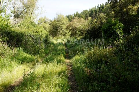 Farm hus i Odemira, Beja, Odemira - € 115.000 | Ref: K-312 - foto 11