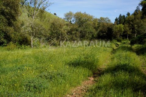 Farm hus i Odemira, Beja, Odemira - € 115.000 | Ref: K-312 - foto 12