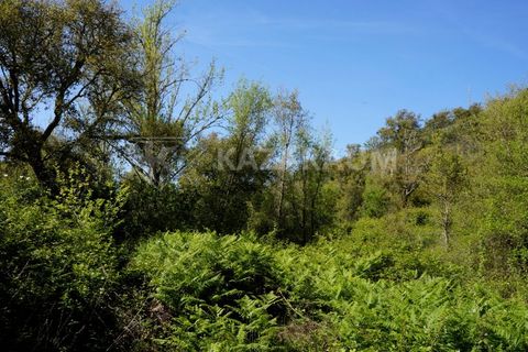 Farm hus i Odemira, Beja, Odemira - € 115.000 | Ref: K-312 - foto 13