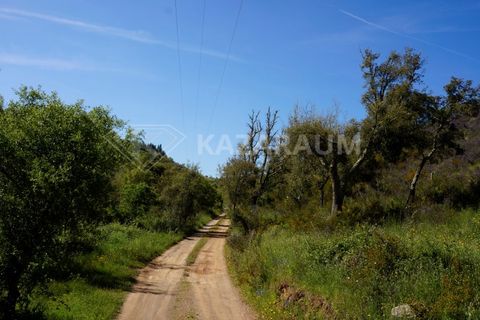 Farm hus i Odemira, Beja, Odemira - € 115.000 | Ref: K-312 - foto 15
