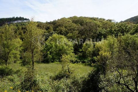 Farm hus i Odemira, Beja, Odemira - € 115.000 | Ref: K-312 - foto 17