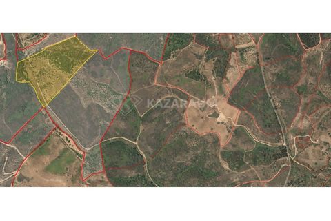 Farm hus i Odemira, Beja, Odemira - € 115.000 | Ref: K-312 - foto 18