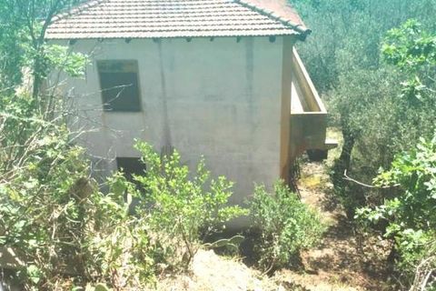 Villa a Messina, Messina, Messina - € 65.000 | Ref: CDE-4631 - foto 10