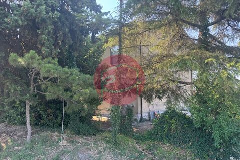 Villa a Gatteo, Forli-Cesena, Gatteo - € 240.000 | Ref: G-C1-116 - foto 8