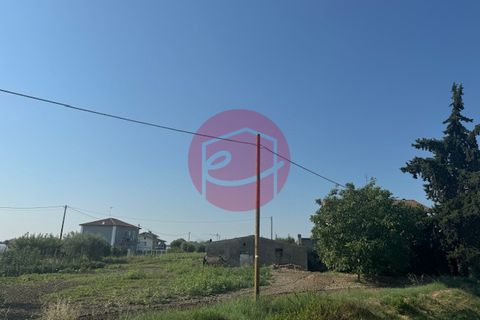 Villa a Gatteo, Forli-Cesena, Gatteo - € 240.000 | Ref: G-C1-116 - foto 9