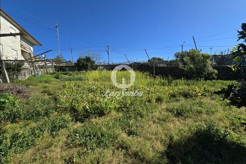 Tomt i Vila do Conde, Porto, Vila do Conde - € 92 000 | Ref: 240-T-25799 - foto 8