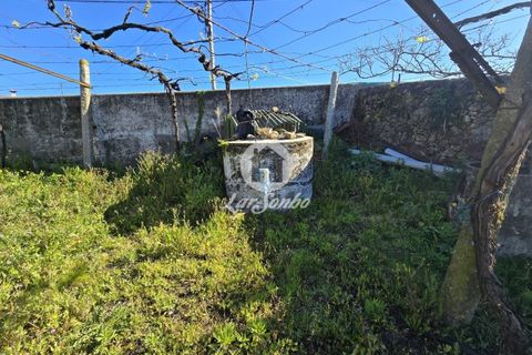 Tomt i Vila do Conde, Porto, Vila do Conde - € 92 000 | Ref: 240-T-25799 - foto 9