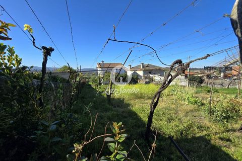 Tomt i Vila do Conde, Porto, Vila do Conde - € 92 000 | Ref: 240-T-25799 - foto 13