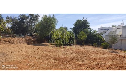 Landejendom i Moncarapacho, Faro, Moncarapacho - € 249.500 | Ref: QUI_554_VEND - foto 11