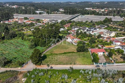 Terra a Grijo, Porto, Grijo - € 65.000 | Ref: ZMPT578733 - foto 5