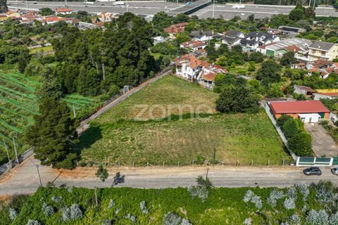 Terra a Grijo, Porto, Grijo - € 65.000 | Ref: ZMPT578733 - foto 7